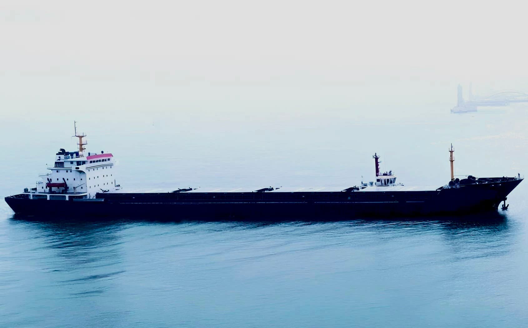 Handy Bulk Carrier