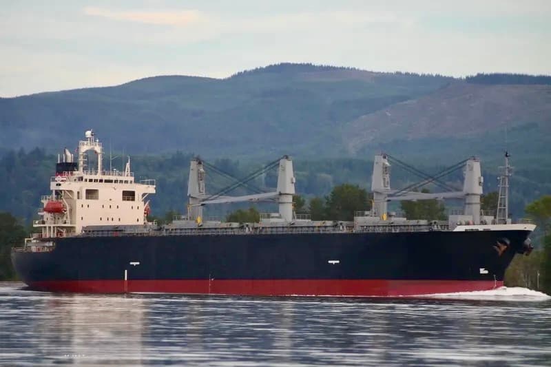 Bulk Carrier Handy Size
