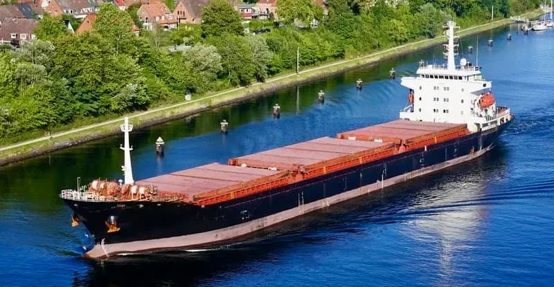 General Cargo / Gearless Bulk Carrer